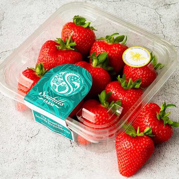 Seahills Premium Strawberries Produce