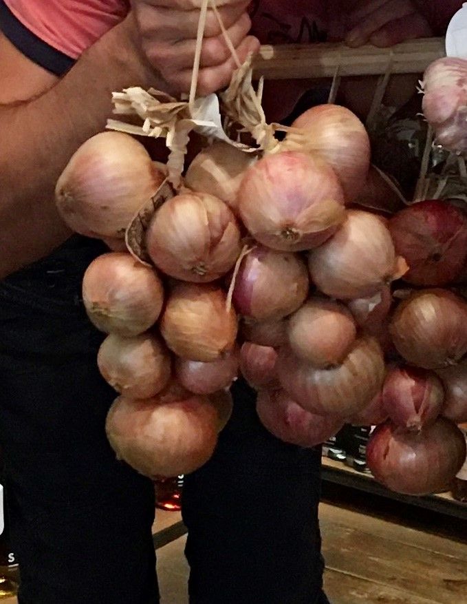 Pink Roscoff Onions Produce