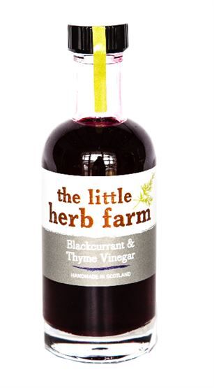 Little Herb Farm Blackcurrant Thyme