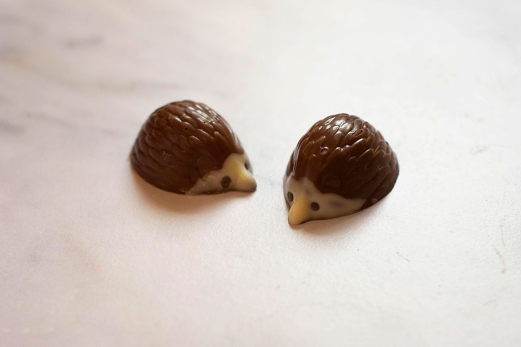 Sarah Bunton Chocolate Hedgehogs