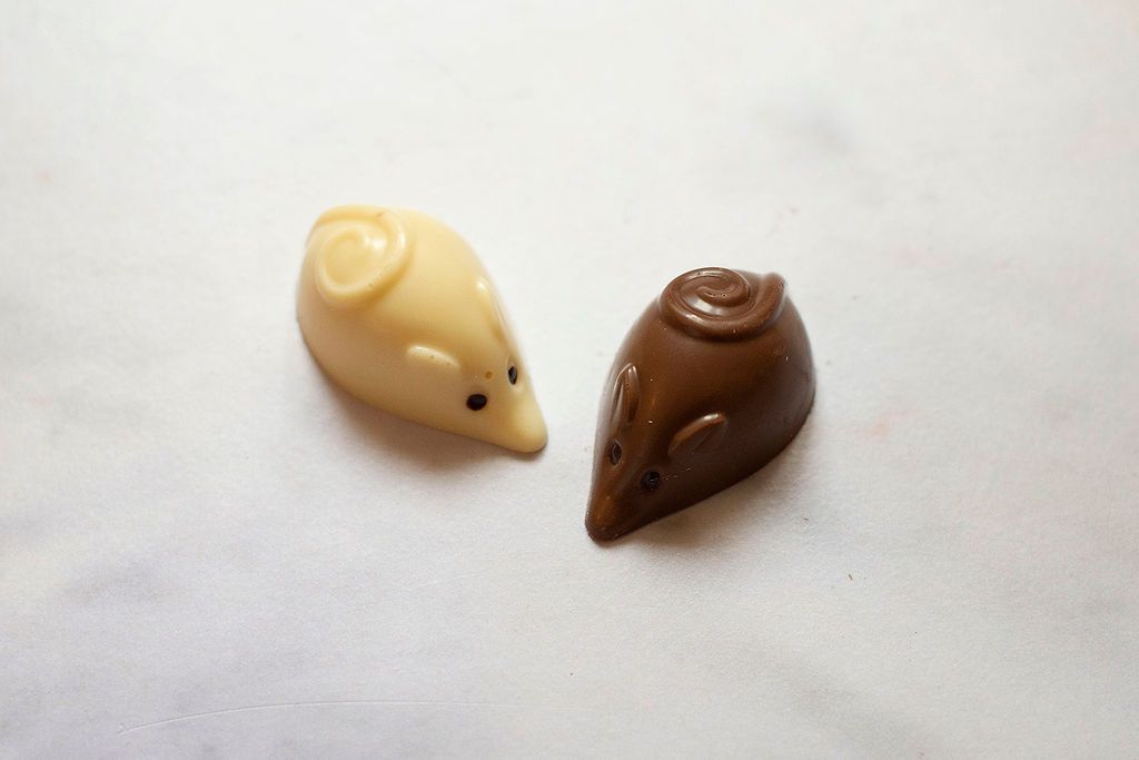 Sarah Bunton Chocolate Mice Gifting Chocolates
