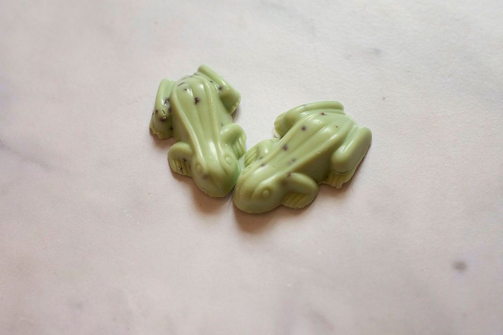 Sarah Bunton Chocolate Popping Frogs