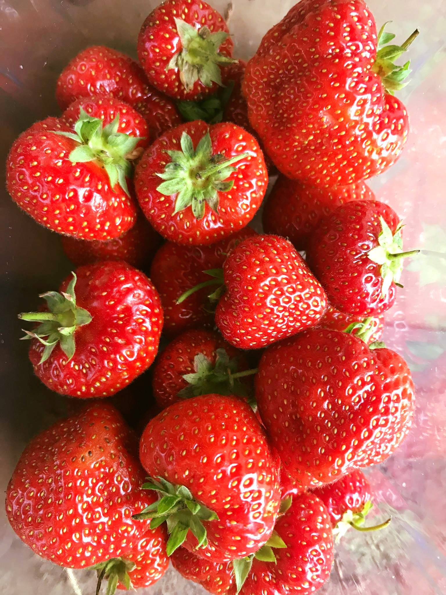 Denhead Perthshire Strawberries
