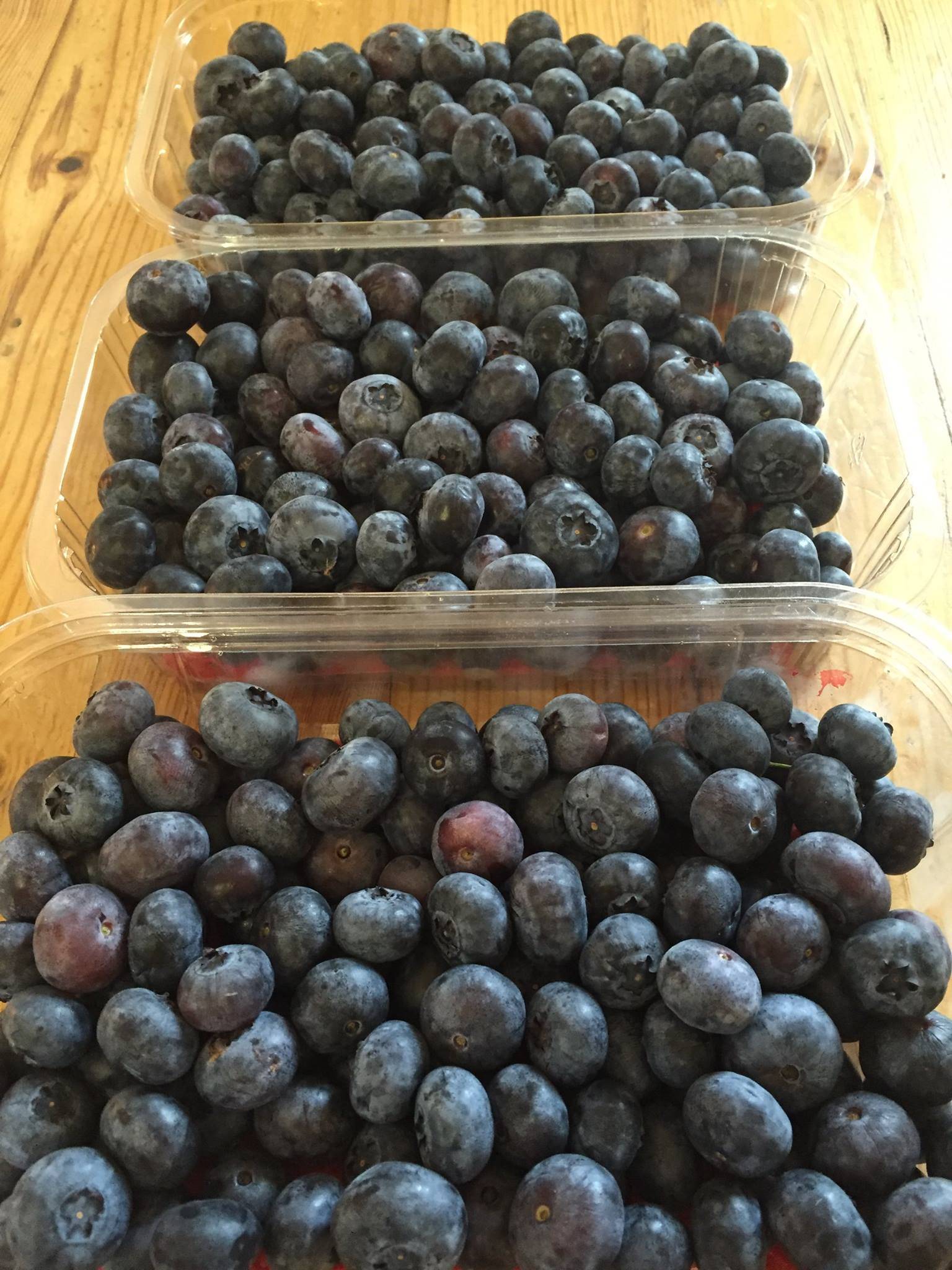 Denhead Perthshire Blueberries