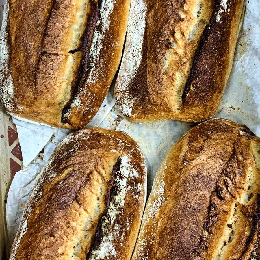 Wild Hearth White Sourdough