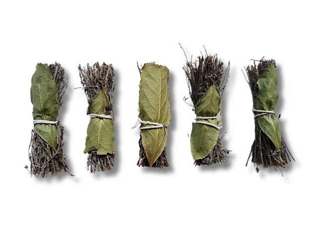 Bouquets Garni (Oregano thyme Bay leaf)