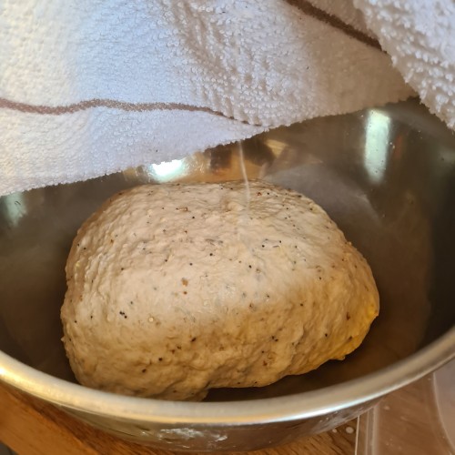 Sour Dough bread making