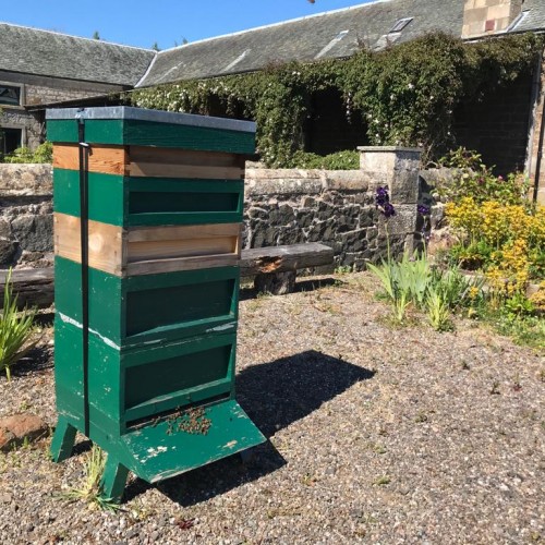 A green beehive in Fife, Scotland sitting in the garden of Lara, from Lara's Honey.